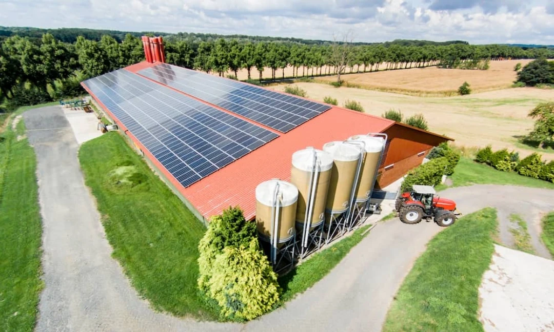 Photovoltaik in der Landwirtschaft
